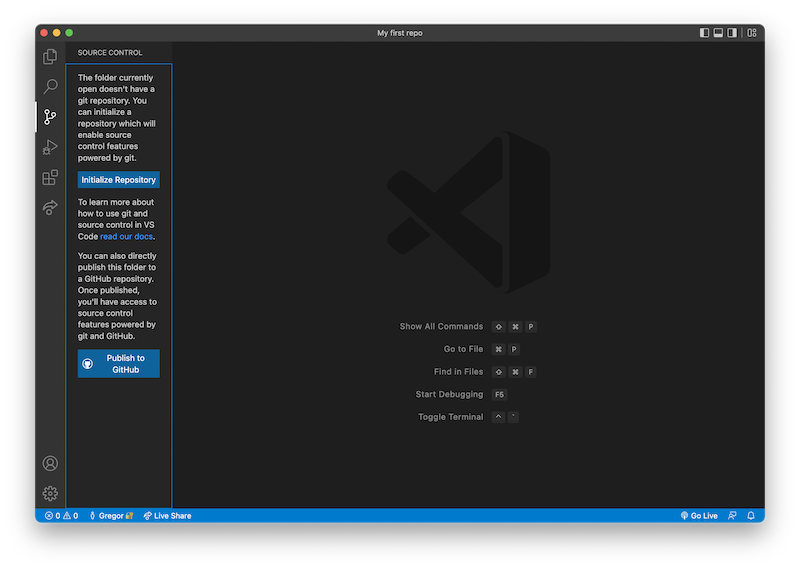VS Code open on the source control tab